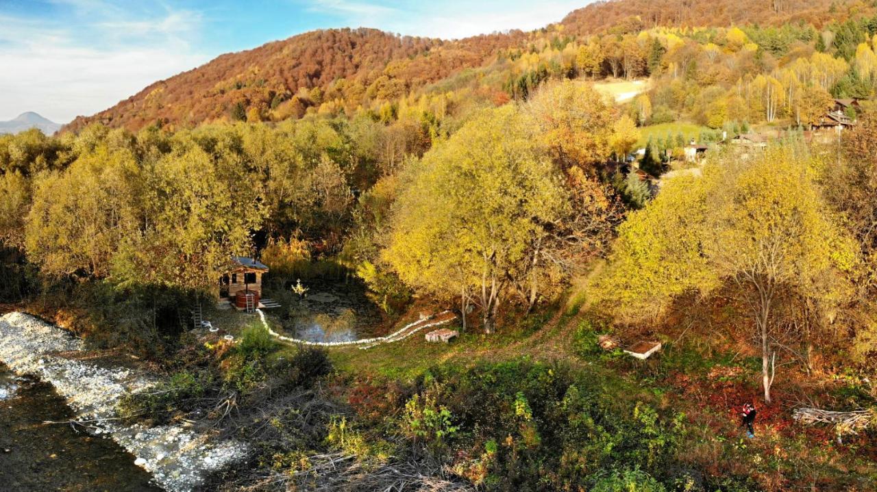 Cabana Vanatorului Rîşnov Kültér fotó