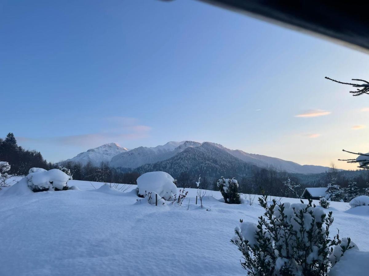 Cabana Vanatorului Rîşnov Kültér fotó