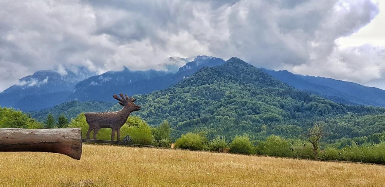 Cabana Vanatorului Rîşnov Kültér fotó